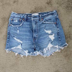 Abercrombie and Fitch Jean Mom Shorts Size 28/6